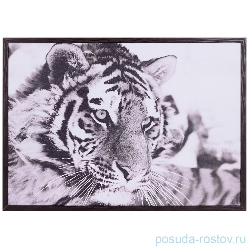 Панно 50 х 70 см "Тигр" /рамка венге / 270104