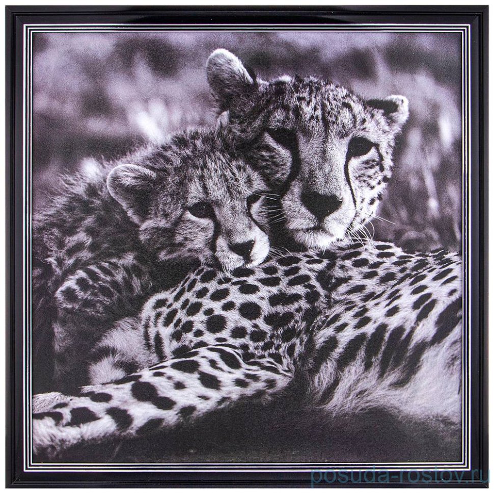 Фотопостер 50 х 50 см "Леопарды" /рамка черный лак с серебром / 275099