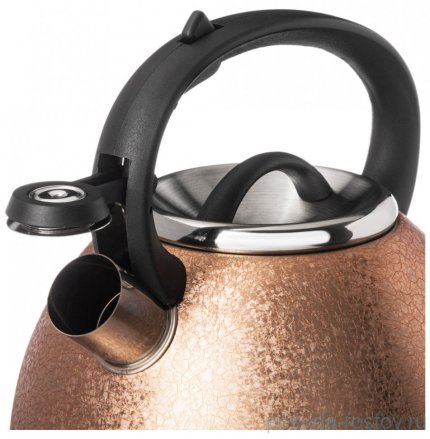Чайник 2,5 л со свистком cappuccino индукционное дно &quot;Teekessel&quot; / 314154