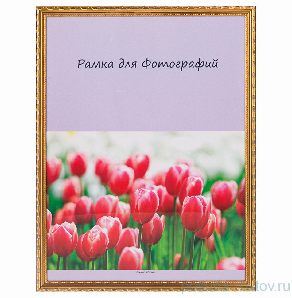Фоторамка 30 х 40 см /рамка золото / 328856