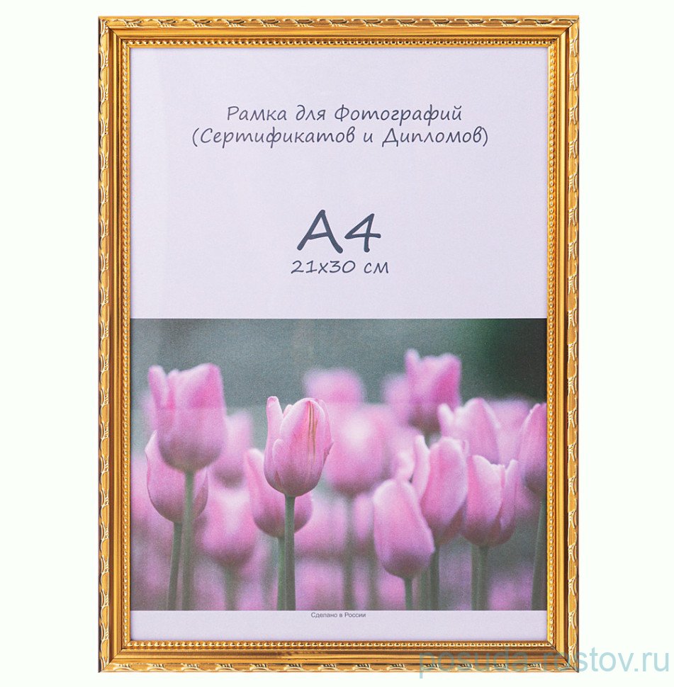 Фоторамка 21 х 30 см /рамка золото / 328854 Фоторамка 21 х 30 см /рамка золото / 328854