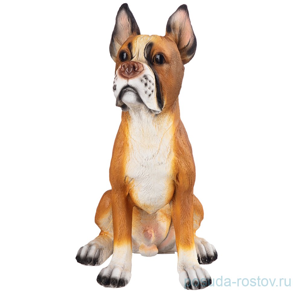 Фигурка 24 х 36 см "Собака /Боксер" / 270305