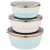 Набор мисок 3 предмета (14, 16, 18 см) с пластиковыми крышками эмалированные ассорти "Agness /Тюдор" / 229574