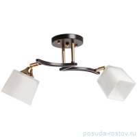 Люстра 2 рожковая &quot;Тетро&quot; / 335135