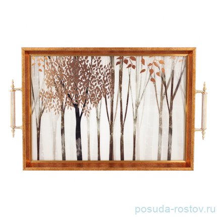 Поднос 31 х 43 см прямоугольный с ручками &quot;Dementia Koleksiyon&quot; / 341550