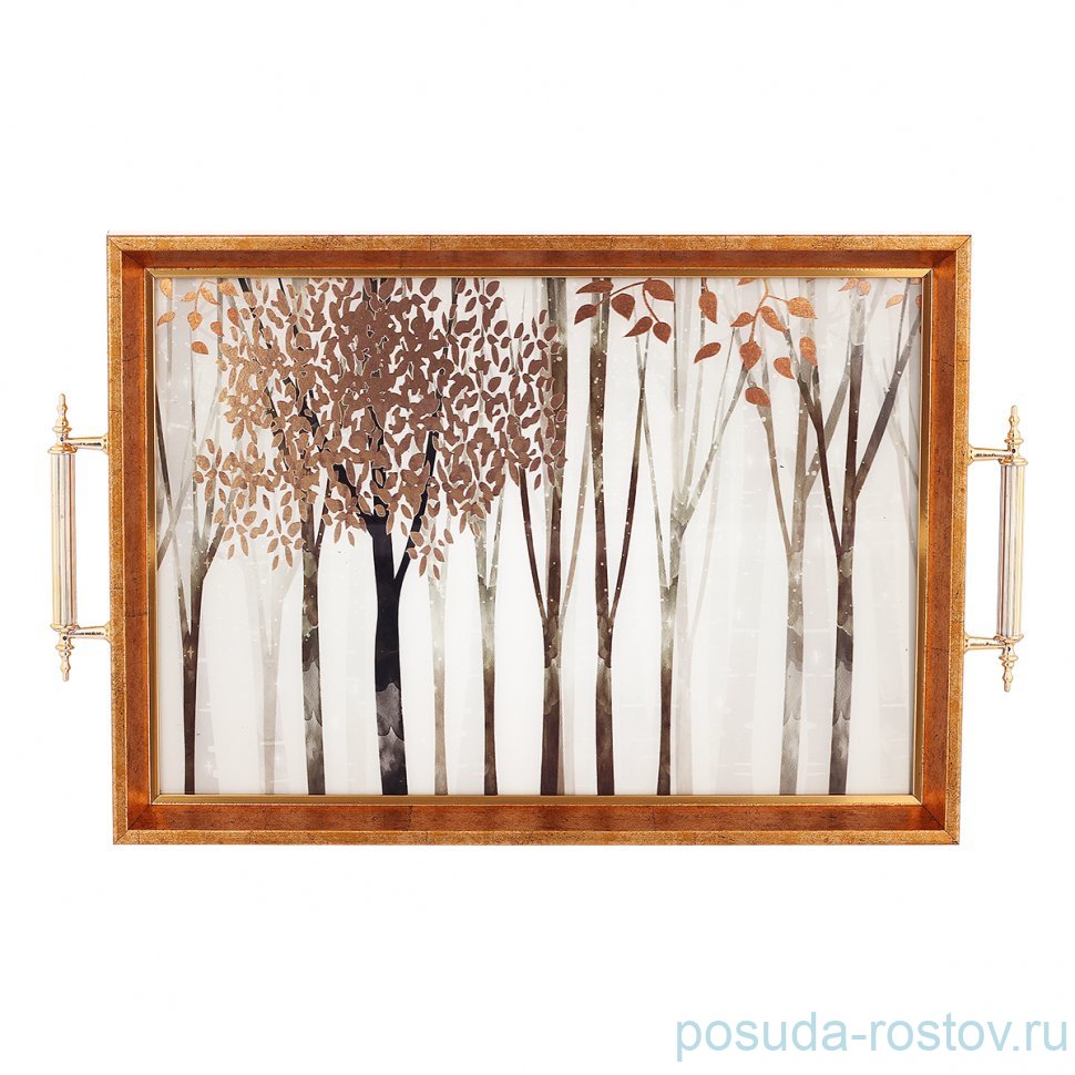 Поднос 31 х 43 см прямоугольный с ручками "Dementia Koleksiyon" / 341550