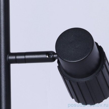 Торшер 2 рожковый &quot;Астор&quot; / 338961