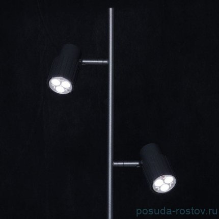 Торшер 2 рожковый &quot;Астор&quot; / 338961