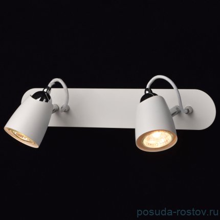 Спот 2 рожковый &quot;Астор&quot; / 339328