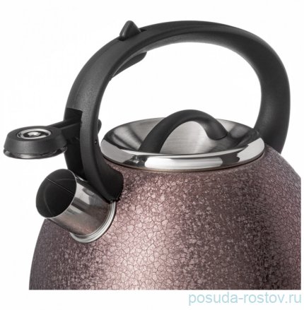 Чайник 2,5 л со свистком brown индукционное дно &quot;Teekessel&quot; / 314151