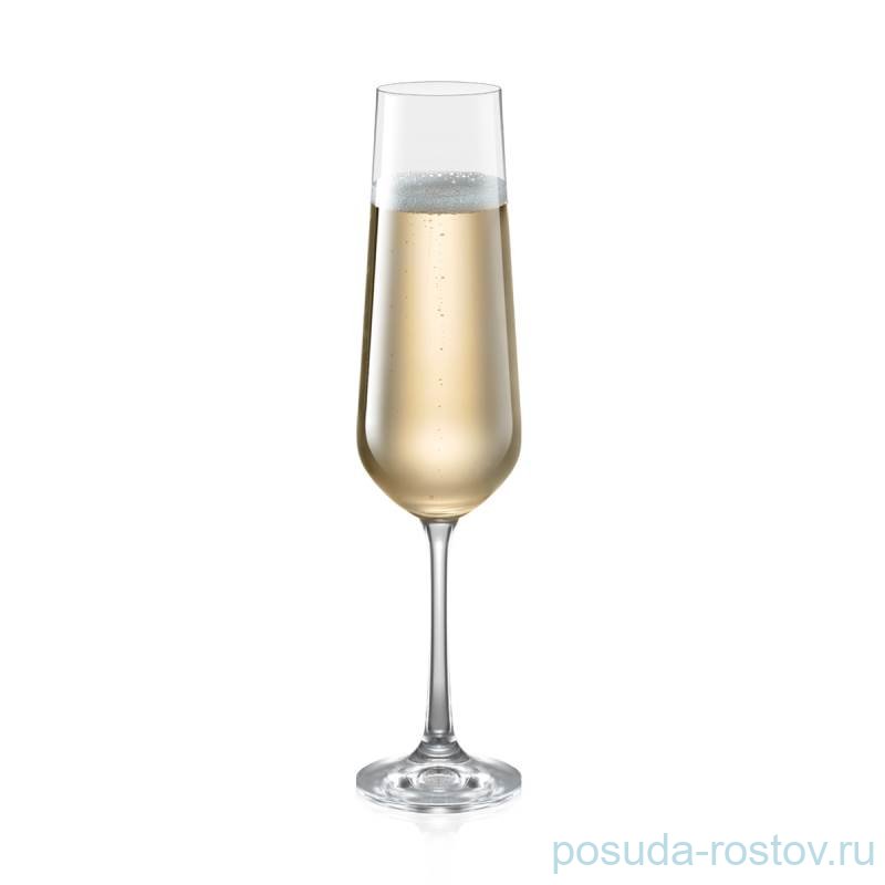 Бокалы для шампанского 200 мл 6 шт  Tescoma "GIORGIO" / 295155